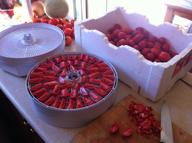 The annual tomato preserving marathon